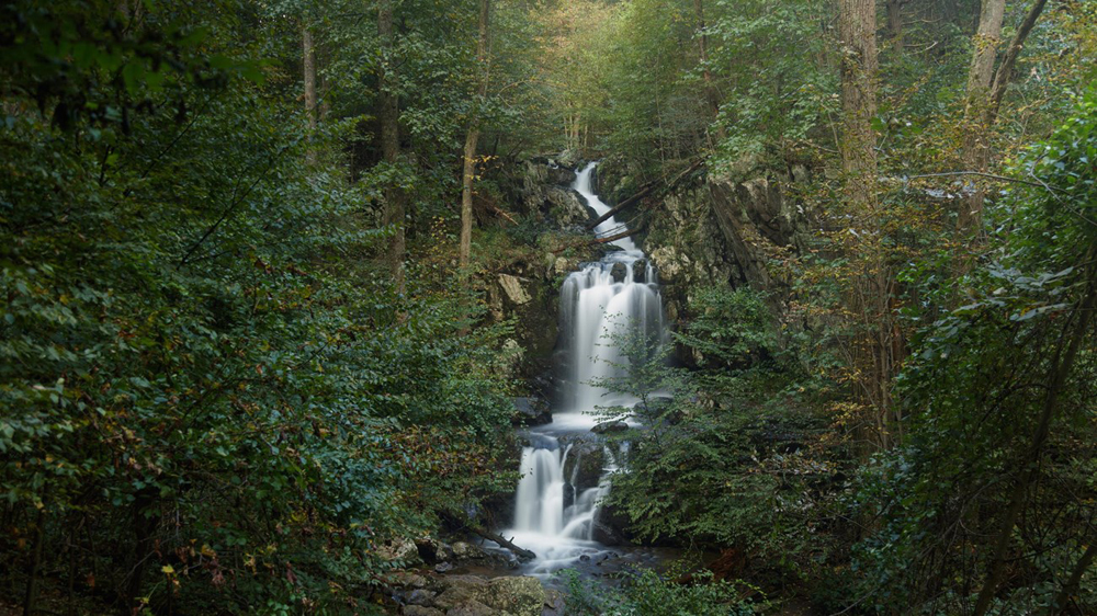 6 Hiking Spots To Enjoy Near Charlottesville, Virginia